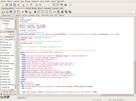 Bluefish Editor